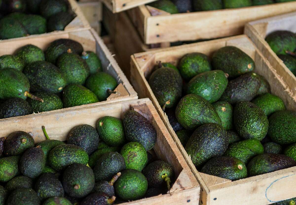 Will avocados be toast? How tariffs affect SF favorite