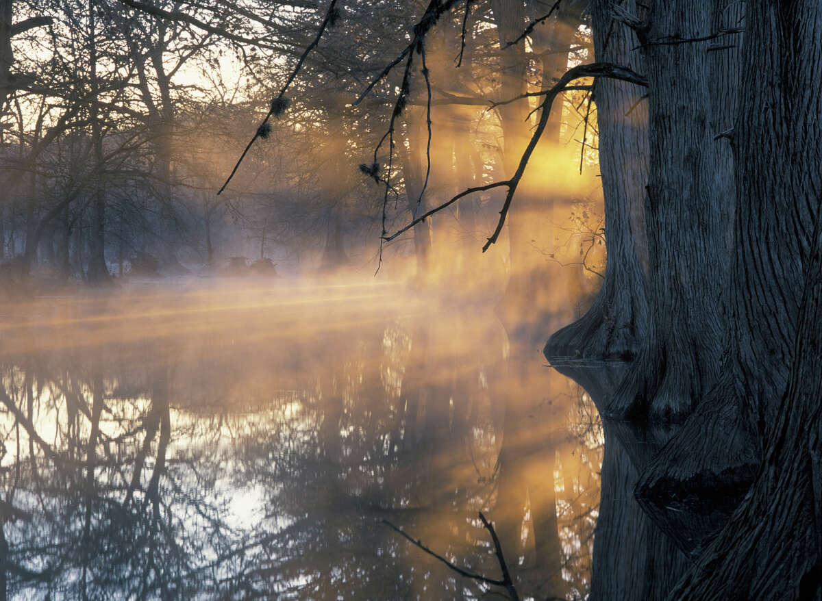 Official State Photographer of Texas Wyman Meinzer captures everything ...