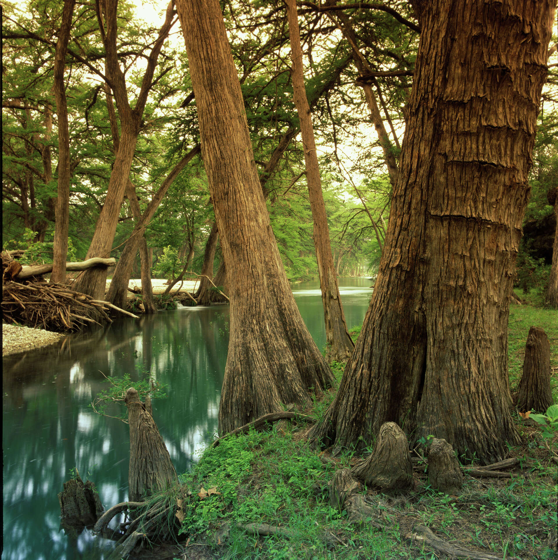 Official State Photographer of Texas Wyman Meinzer captures everything ...