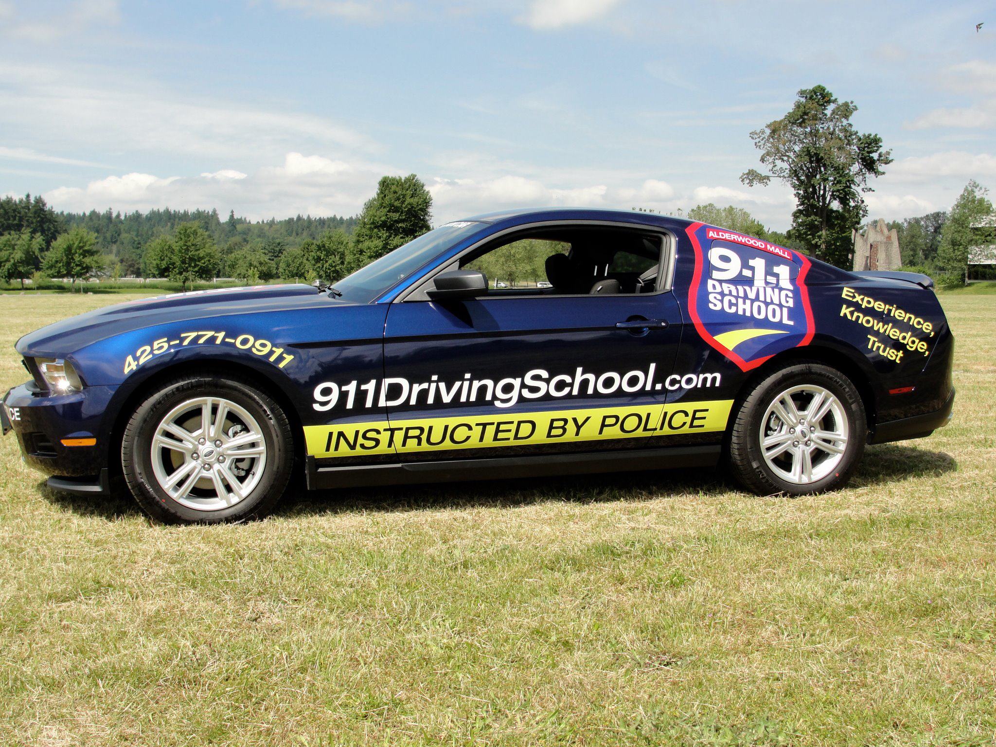 driving school for adults texas