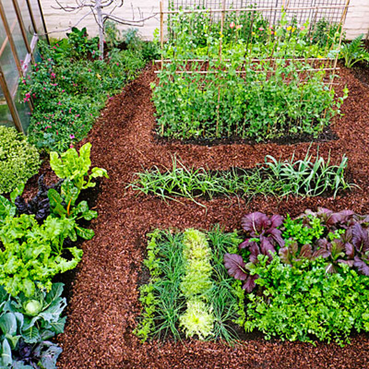 Plant a cool-season vegetable garden