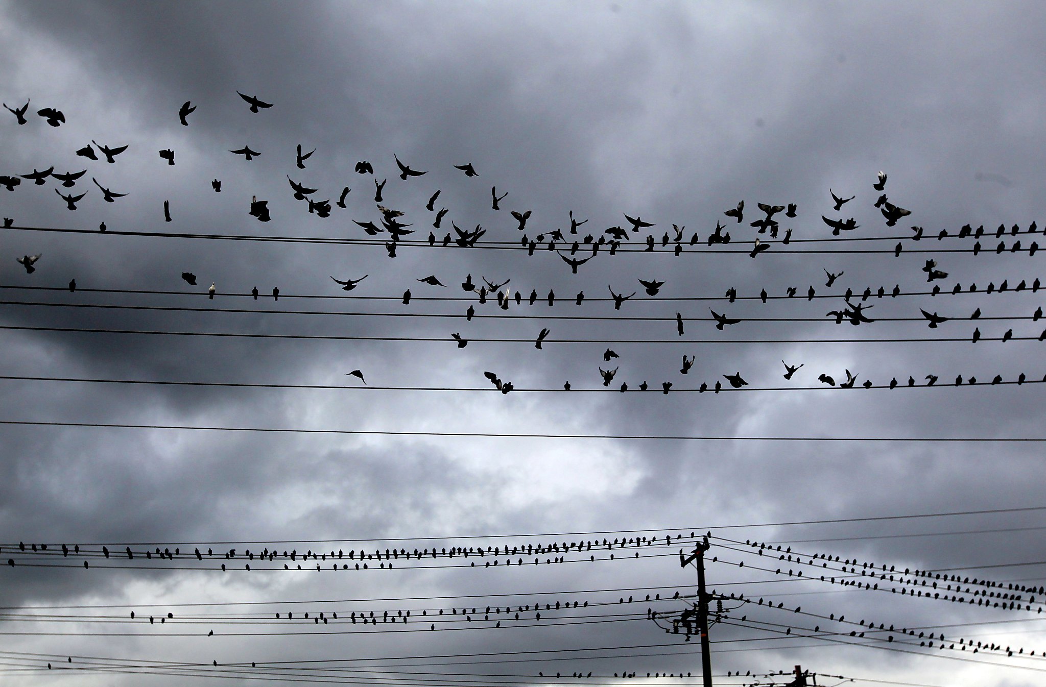 Power knocked out to more than 45,000 in the Bay Area due to storm