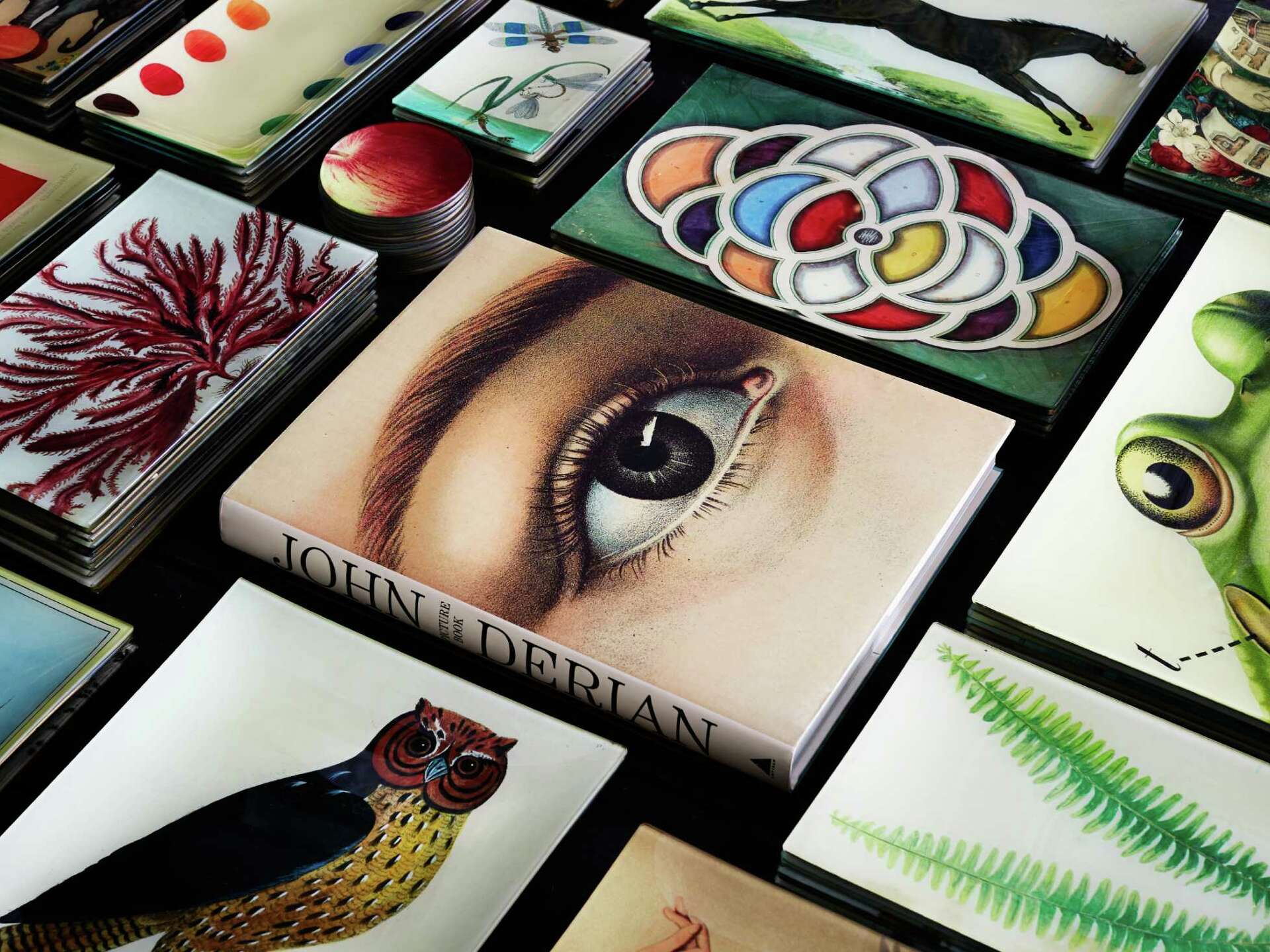 John Derian Picture Book' is a journey through artist's exquisite
