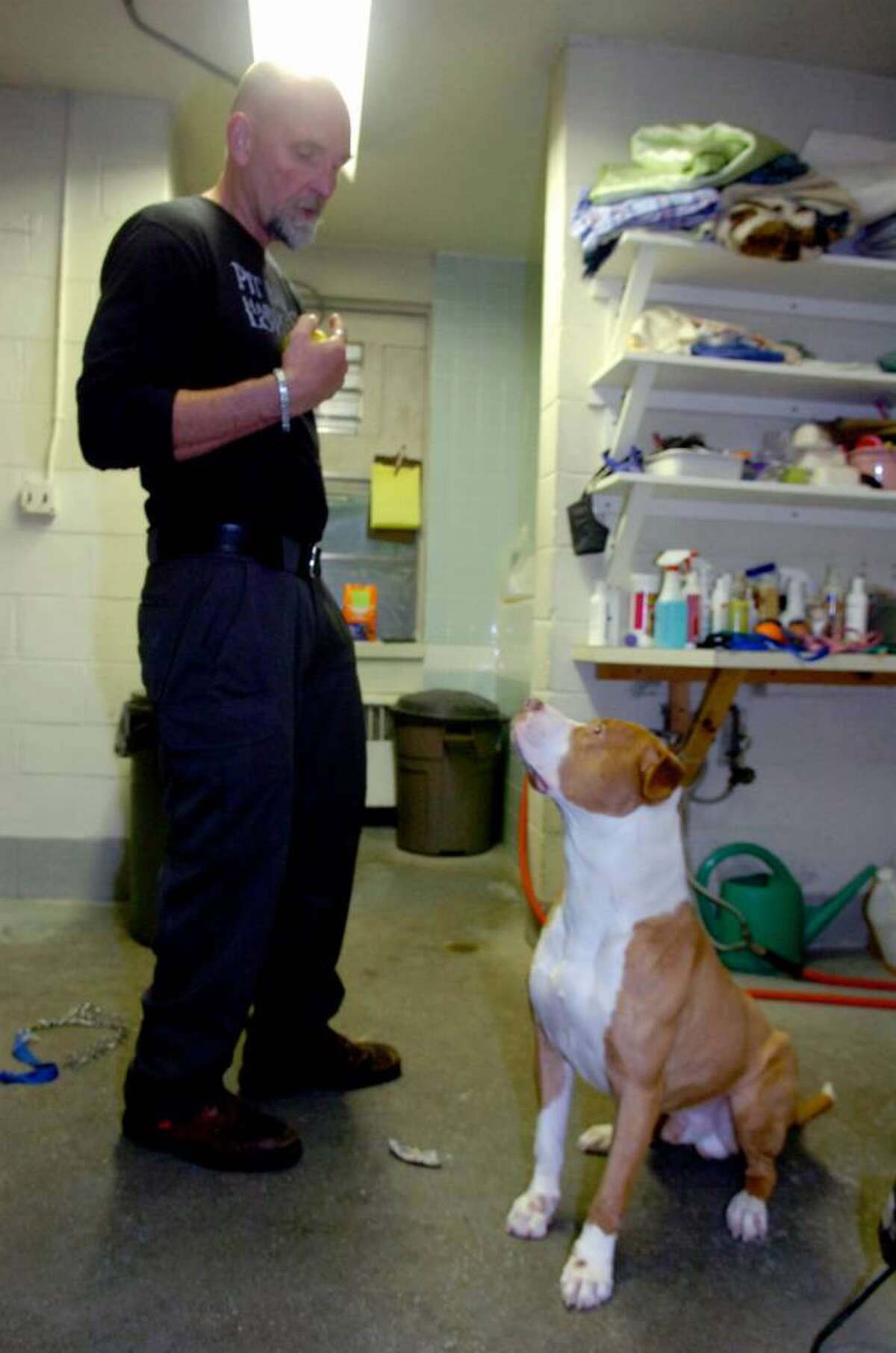 Spartanburgs Animal Cruelty Crisis Shelter Overwhelmed By Abandoned Pets - hkbc0az