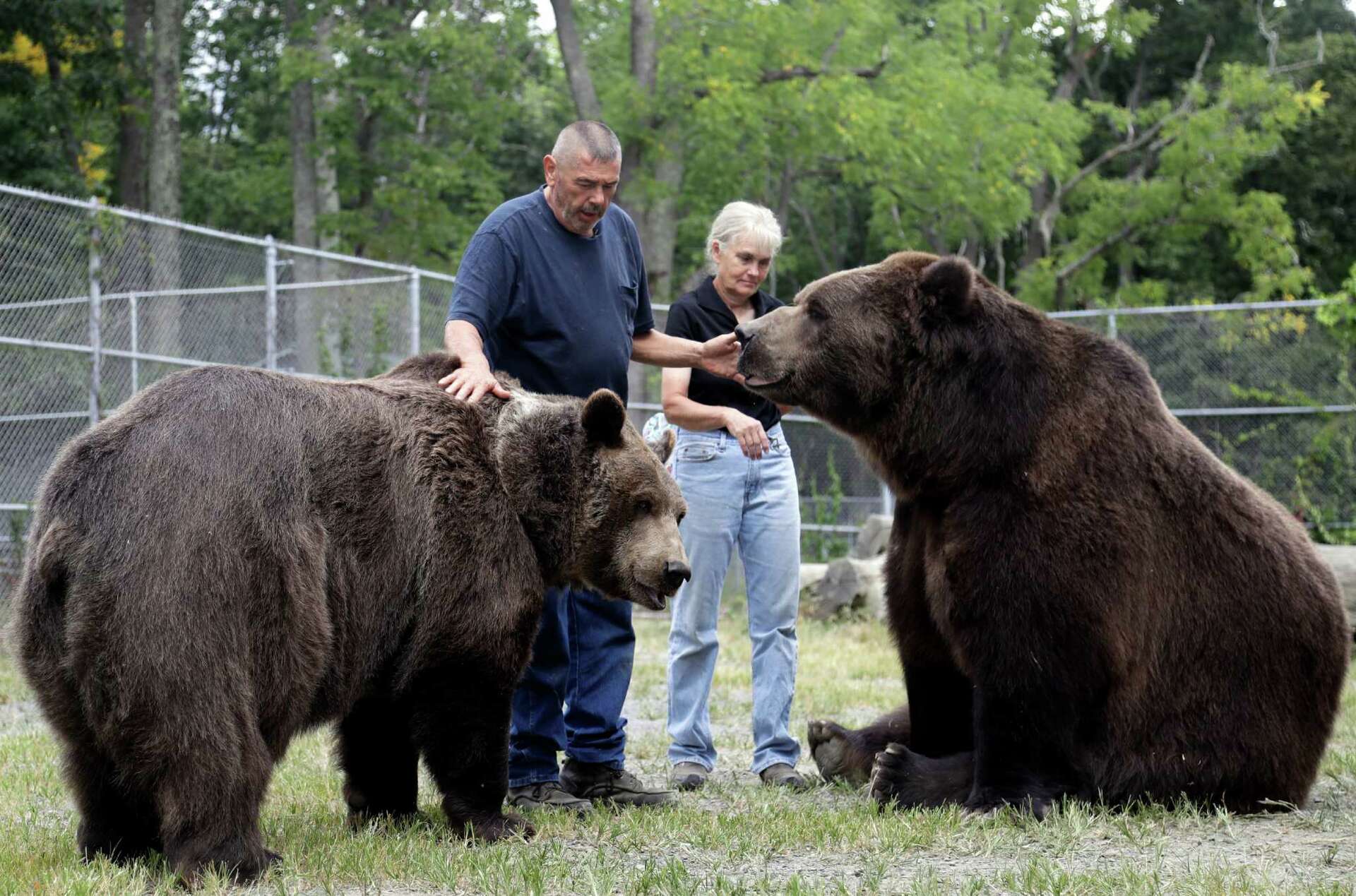 Big bear hugs attract social media attention