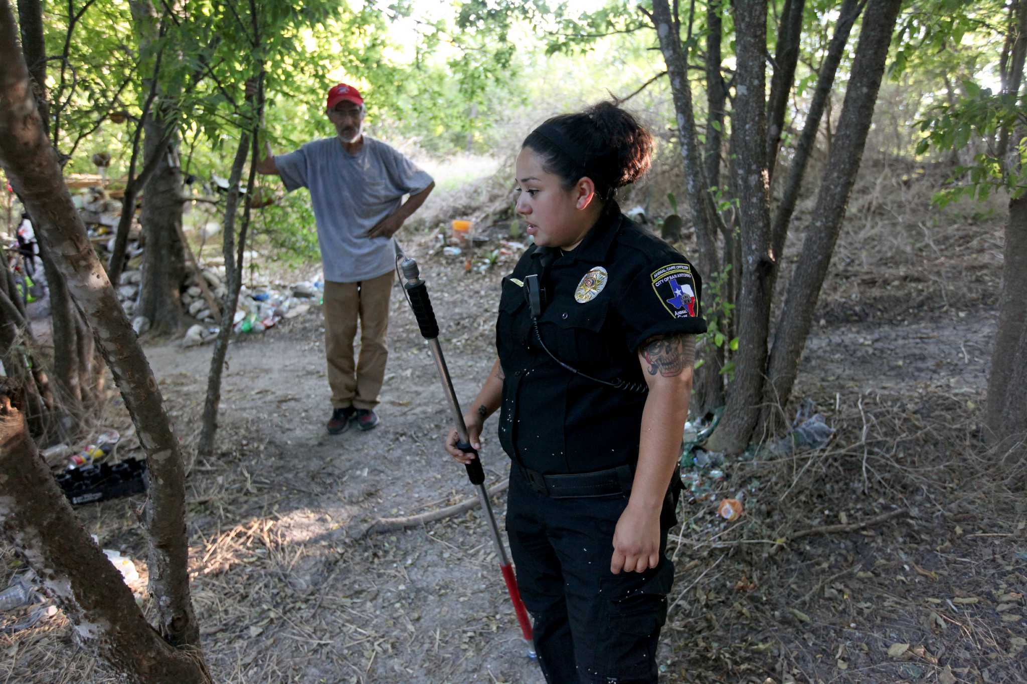 Experts reveal the life of stray dogs on the streets of San Antonio