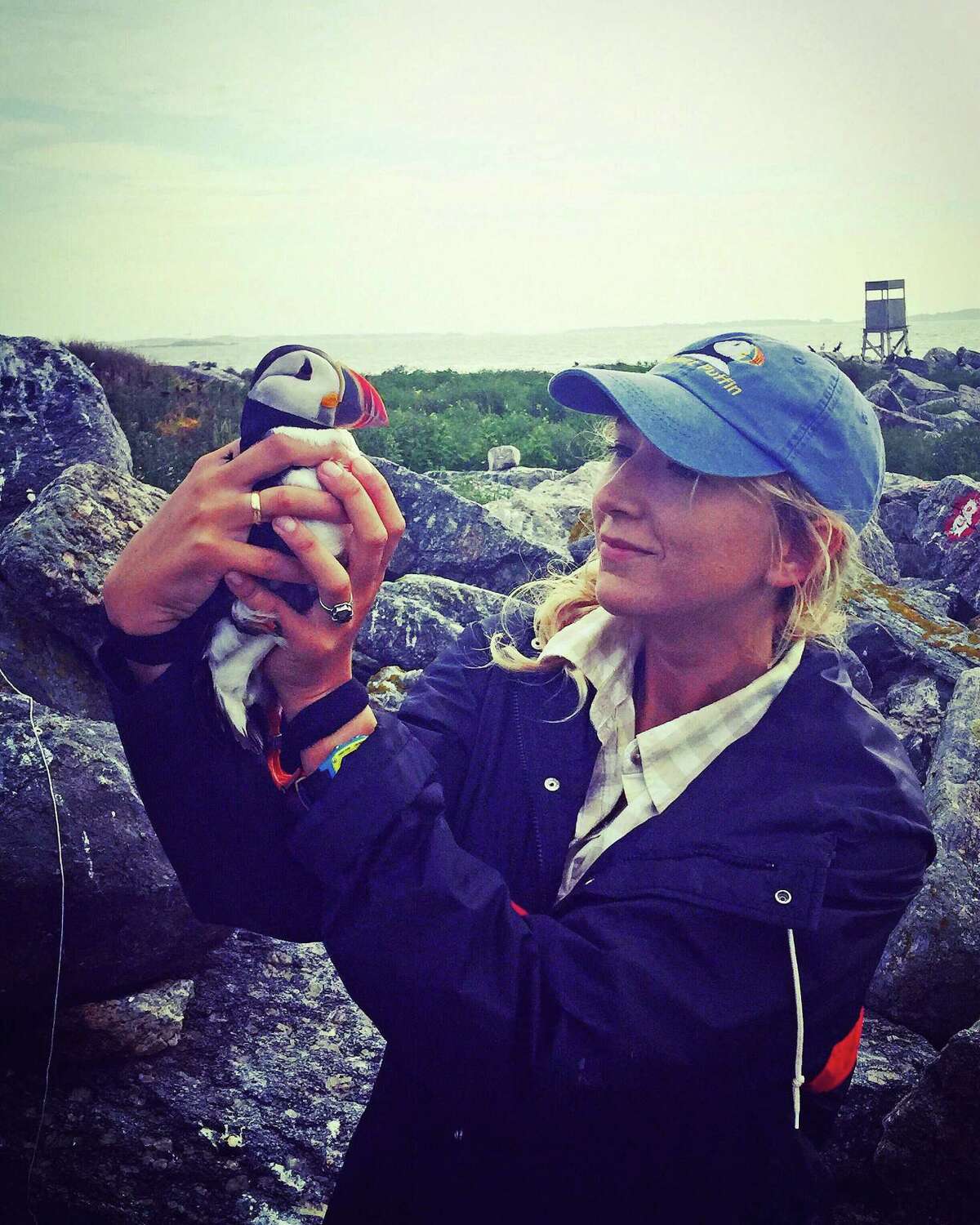 Caroline Bailey, a new Greenwich-based intern with Audubon Connecticut, holds a puffin.