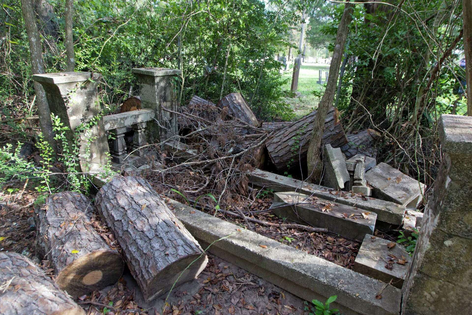 Genealogist seeking help to restore, preserve historic black cemetery