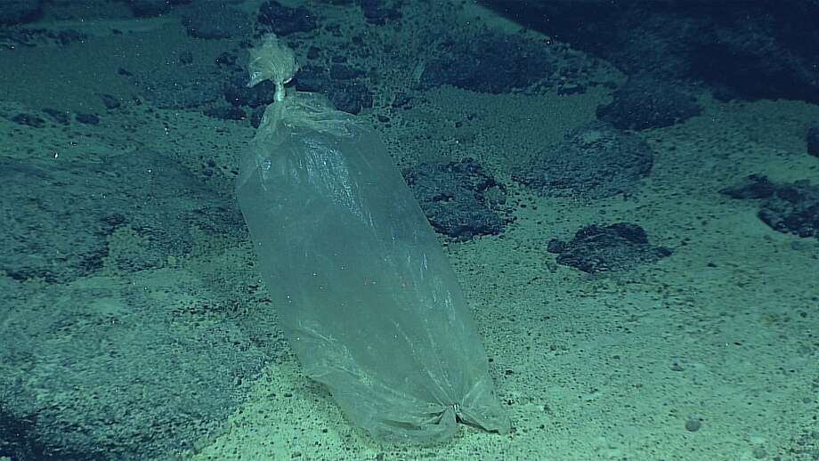 There's so much trash in the ocean, scientists found a plastic bag in