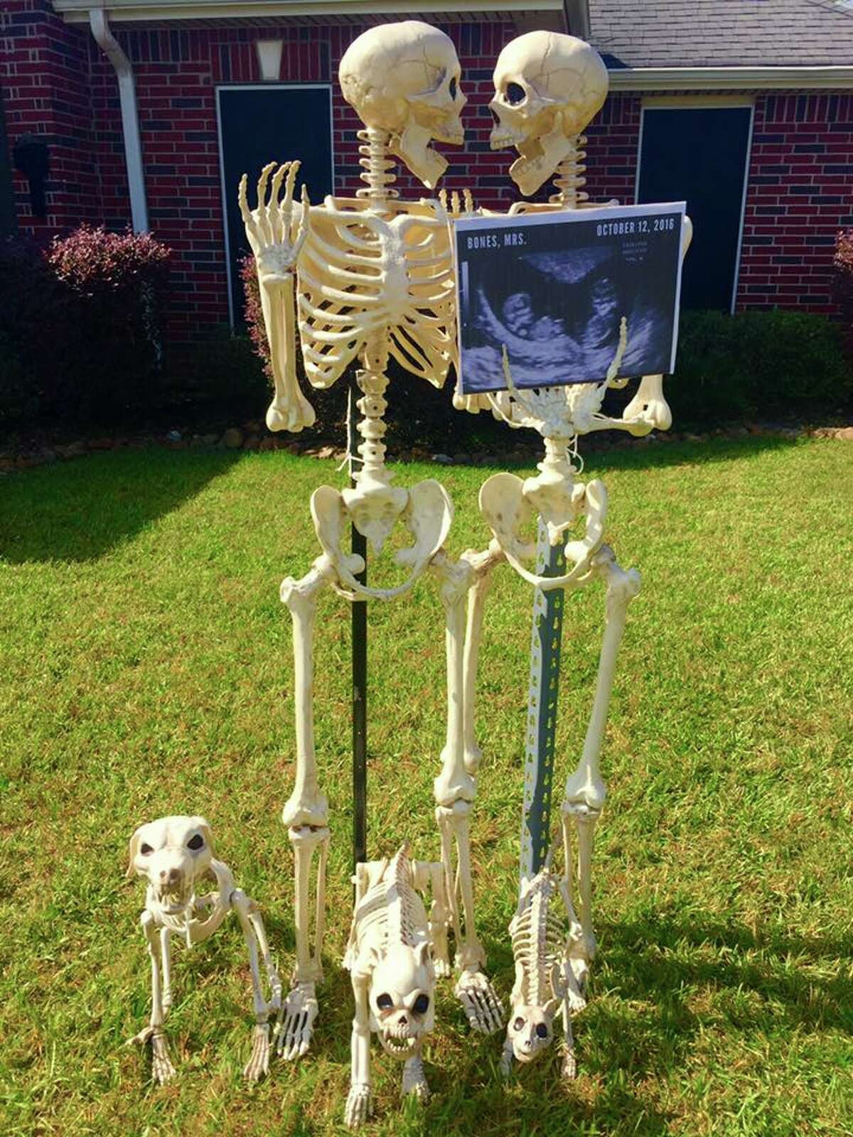 Creative Halloween display lets Lumberton residents keep up with the Bones