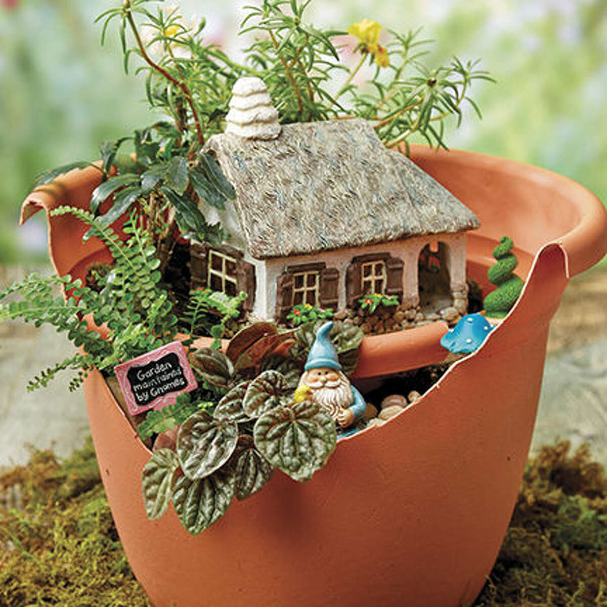 Gardening with an Enchanted Twist