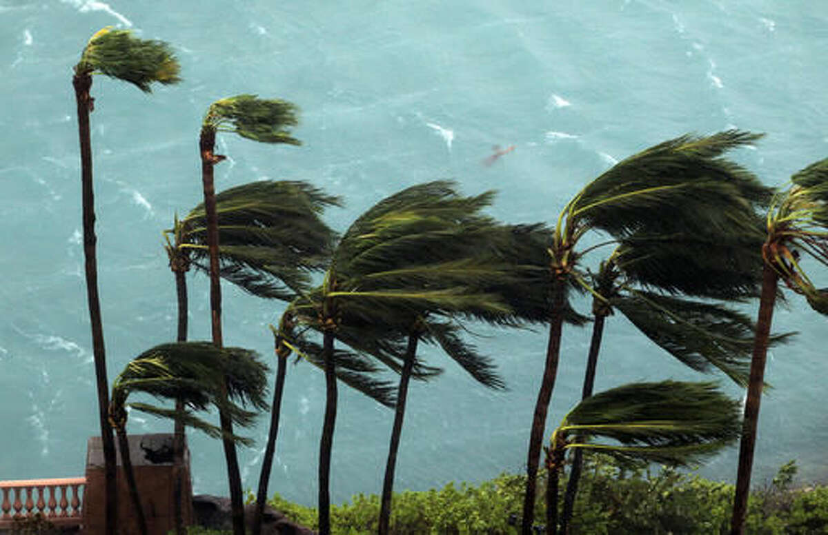 Wind brought by Hurricane Matthew blow palm trees on Paradise Island in Nassau, Bahamas, Thursday, Oct. 6, 2016. The head of the Bahamas National Emergency Management Authority, Capt. Stephen Russell, said there were many downed trees and power lines, but no reports of casualties. (AP Photo/Tim Aylen)