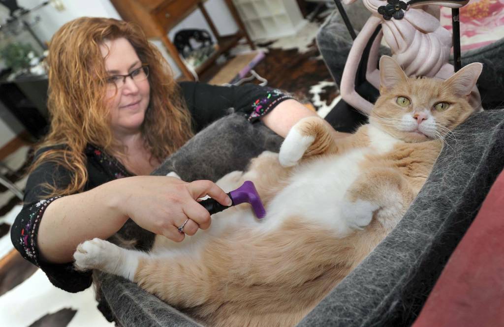 Animal Center collecting pet hair to clean up Gulf oil spill