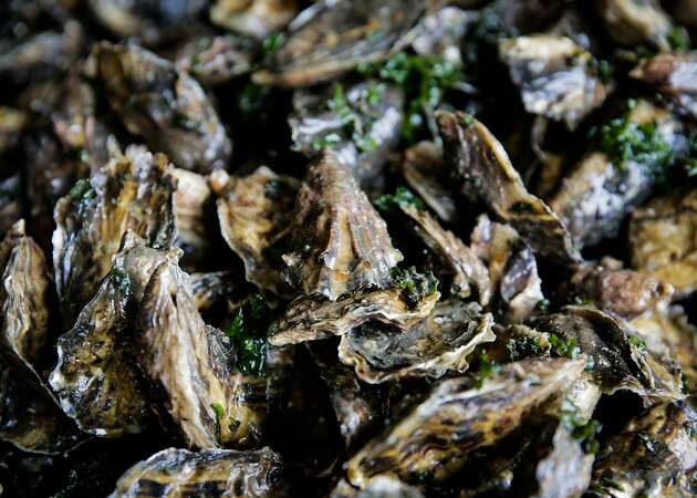 Toxin forces order to stop eating recreationally caught shellfish in Bay Area
