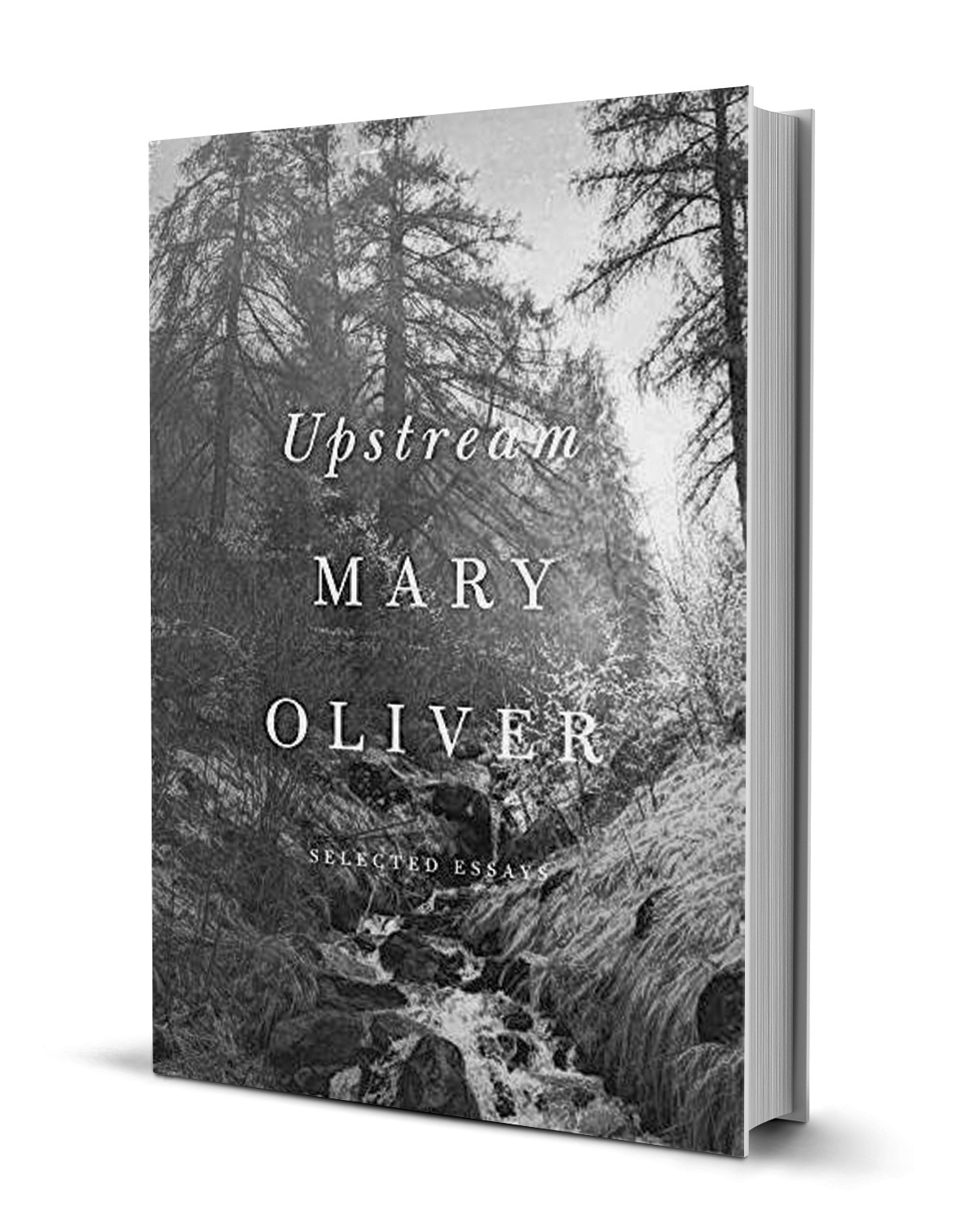 upstream mary oliver barnes and noble