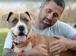 How volunteers are making a difference for animal welfare