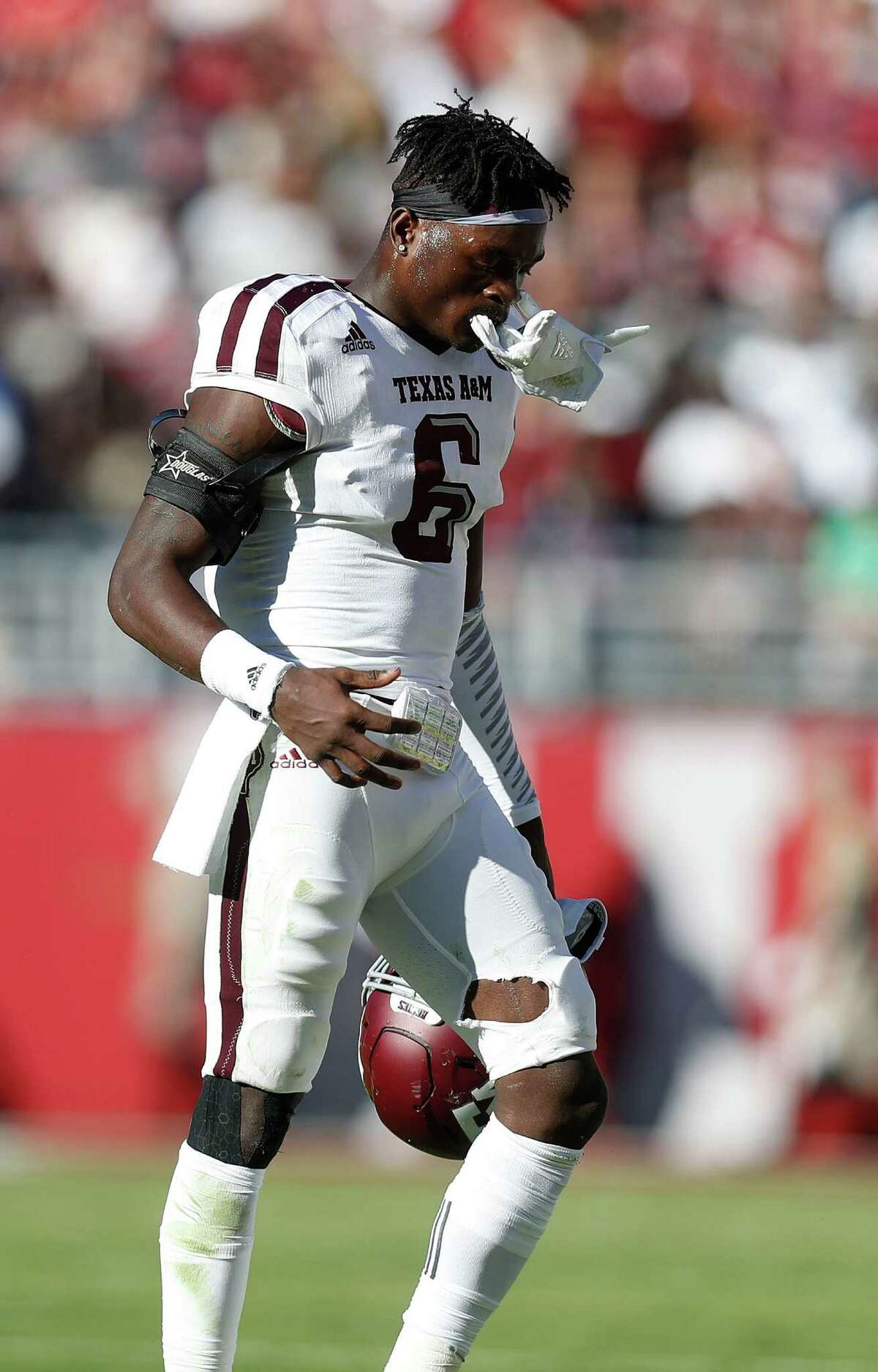 donovan wilson donovan wilson