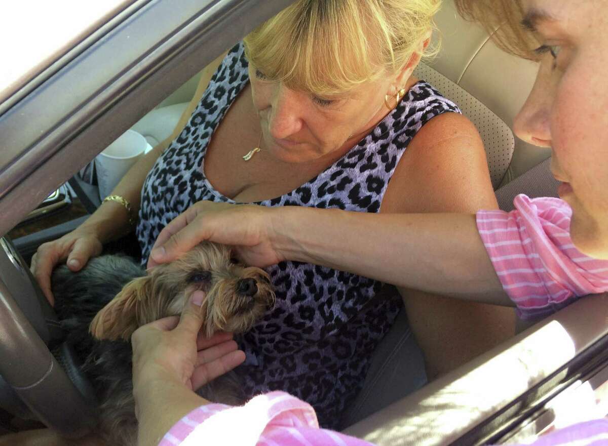 Rhonda Williams of Cudjoe Key, Fla., has her Yorkie, Riley, examined by Natalie Wendling, a veterinarian with the U.S. Department of Agriculture’s Animal and Plant Health Inspection Service, at a roadside checkpoint in Key Largo, Fla. Agriculture officials are checking all animals exiting the keys for signs of the screwworm.