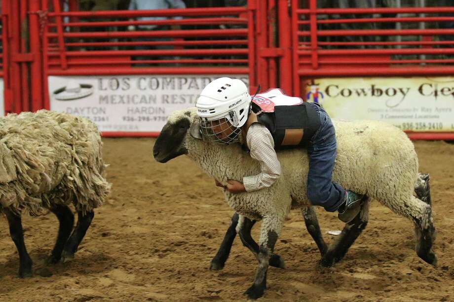 Ted Cruz, Neil Gorsuch talk mutton busting during tense Supreme Court ...