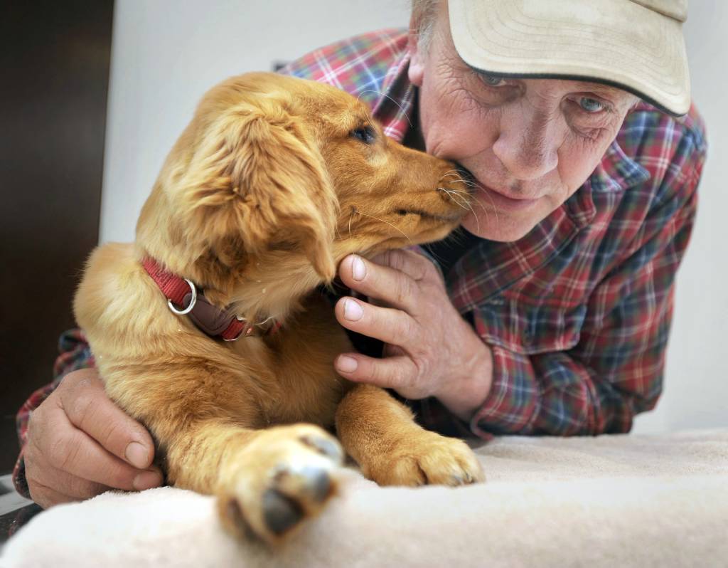 Police make arrest in dog attack case