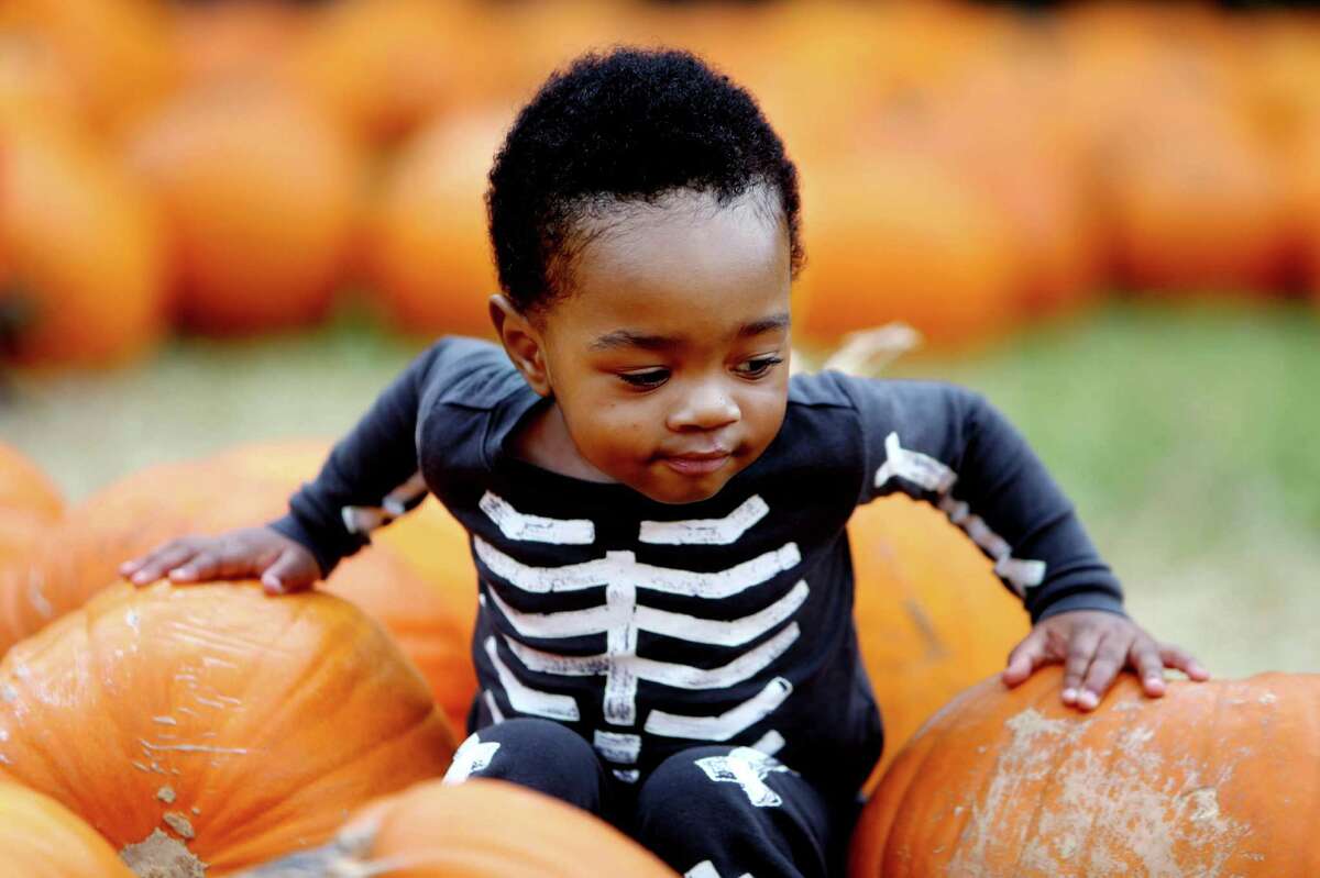 Dreux Simmons, 19-months, dressed in skeleton pajamas, in the Pure Pumpkin Patch at St. Luke's Methodist Church on Friday, Oct. 30, 2015, in Houston, Texas. ( Gary Coronado / Houston Chronicle )