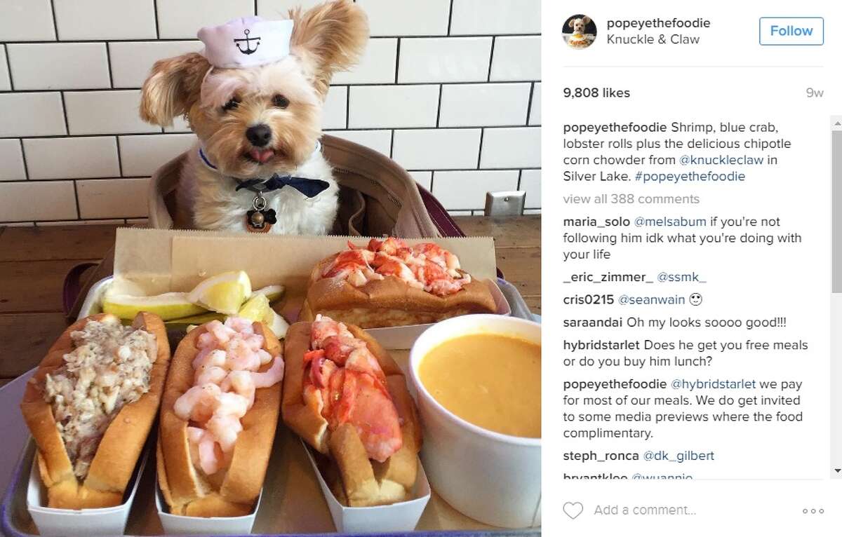 “Shrimp, blue crab, lobster rolls plus the delicious chipotle corn chowder from @knuckleclaw in Silver Lake. #popeyethefoodie,” @popeyethefoodie. 