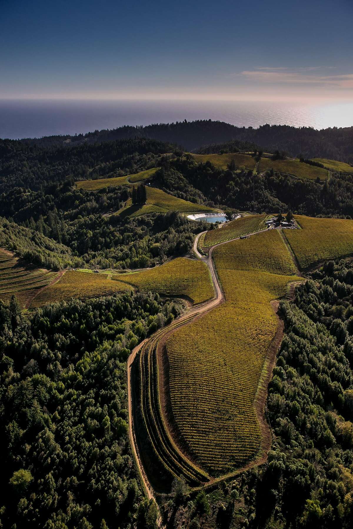 Vineyards in the Fort Ross-Seaview AVA of Sonoma County, seen in 2014.