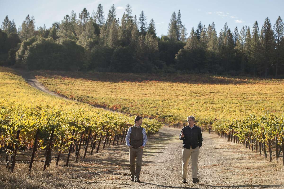 Winery owners Arpad andPeter Molnar at their Obsidian Ridge vineyards in Kelseyville, California, USA 23 Oct 2016. (Peter DaSilva/Special to The Chronicle)