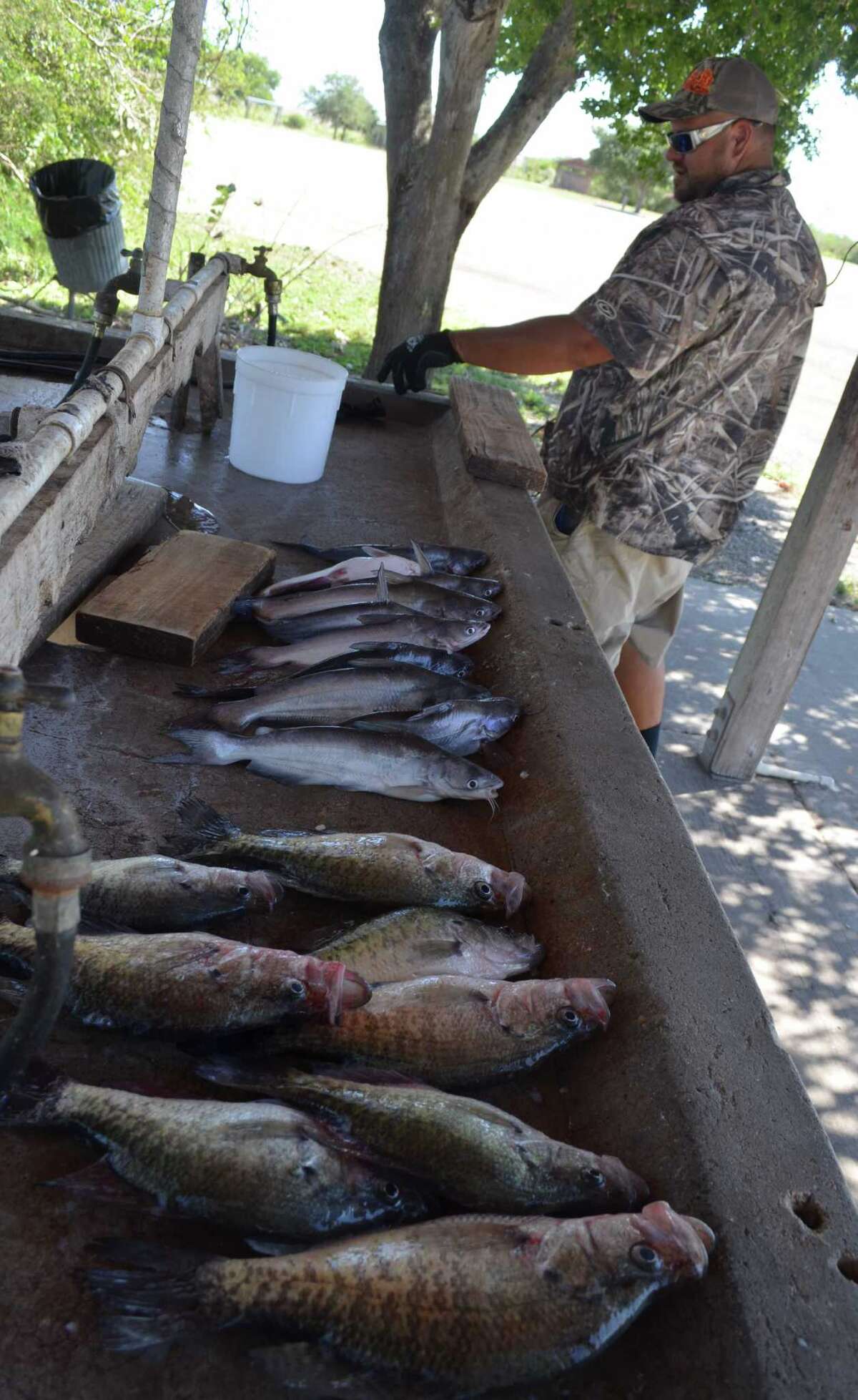 Popular crappie returning to spotlight at Choke Canyon