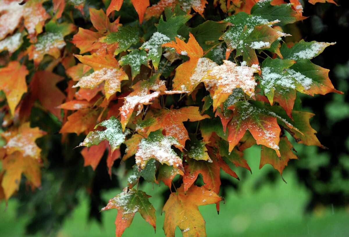 For the best fall-foliage vantage points, try the sky, rails or river