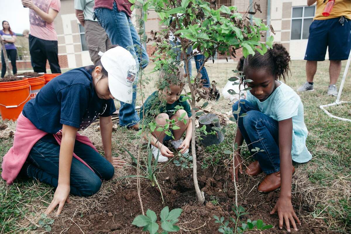 San Antonio looking for places to add more trees