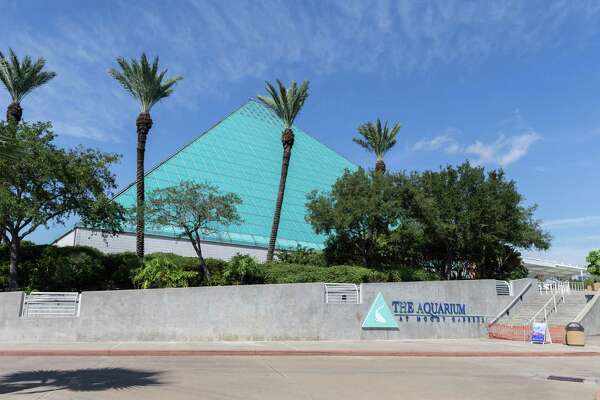 Moody Gardens To Host Free Drive Thru Food Distribution Friday For