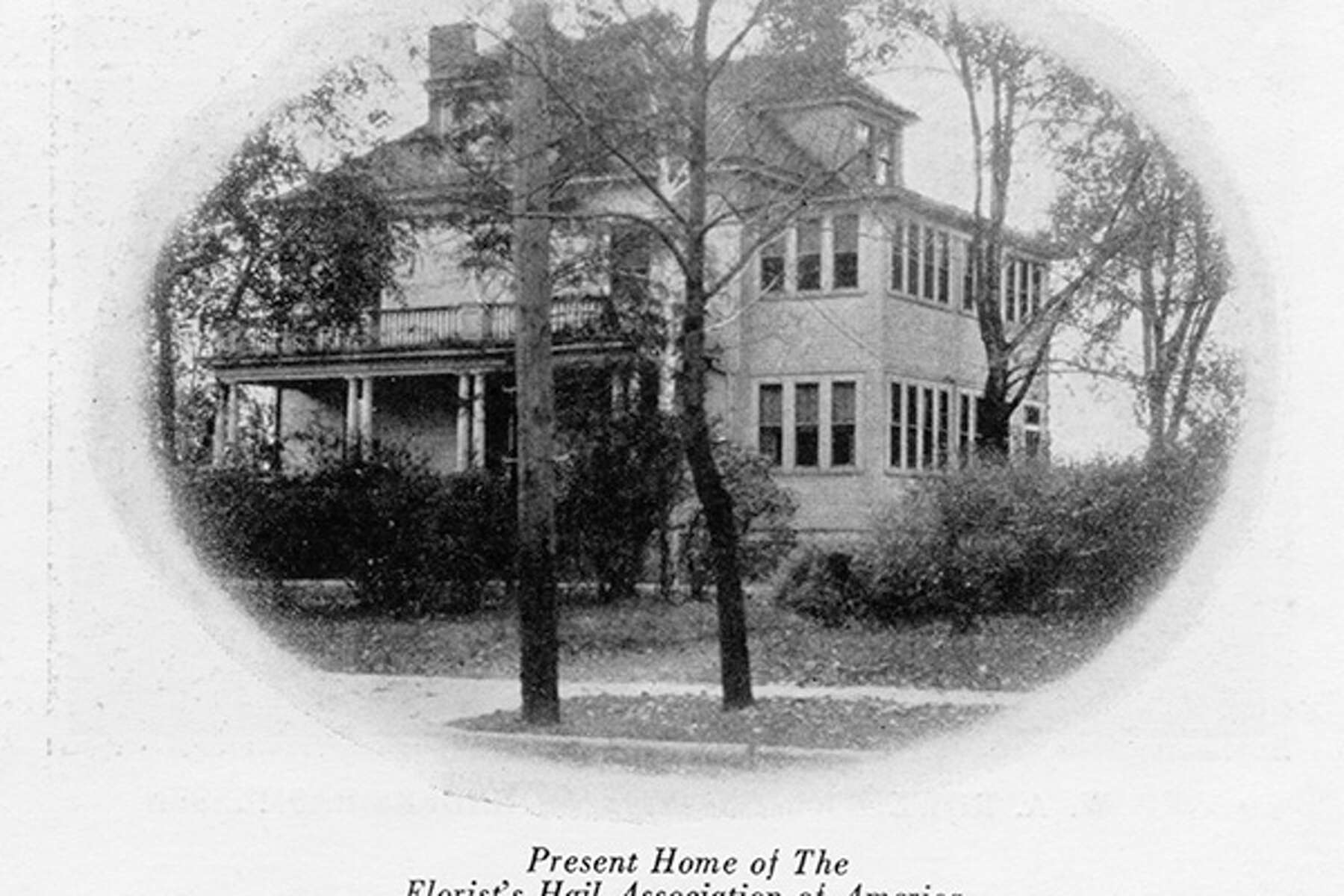 White Christmas Edwardsville Il 2022 Ammanns Helped Beautify Edwardsville