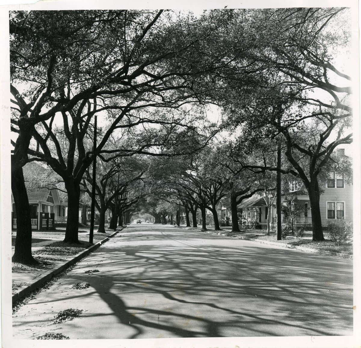 HOUSTON HEIGHTS 1956 Bayland Avenue -- Houston 02/21/1956