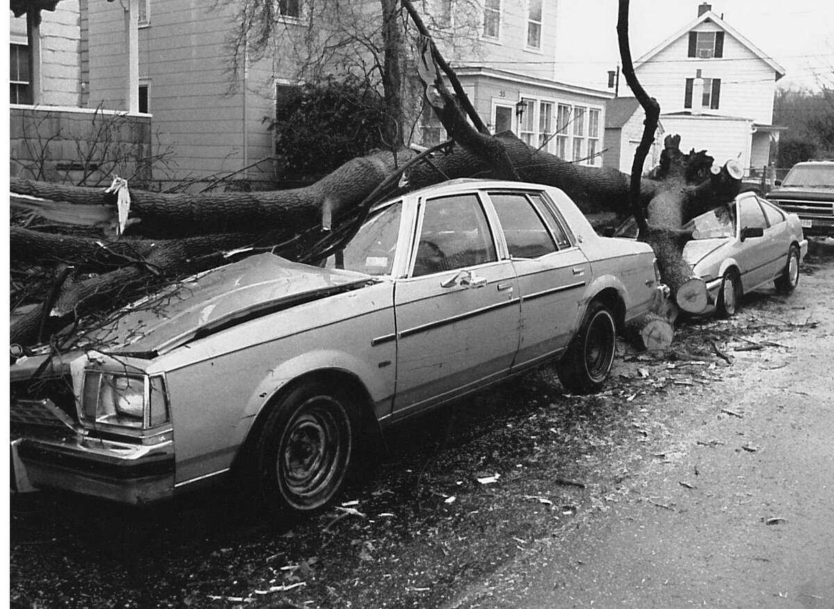 A fallen tree lies atop two cars on Division Street in Byram in the wake of the December 1992 nor' easter.