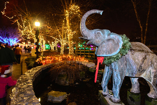 St Louis Zoo Christmas Lights 2026