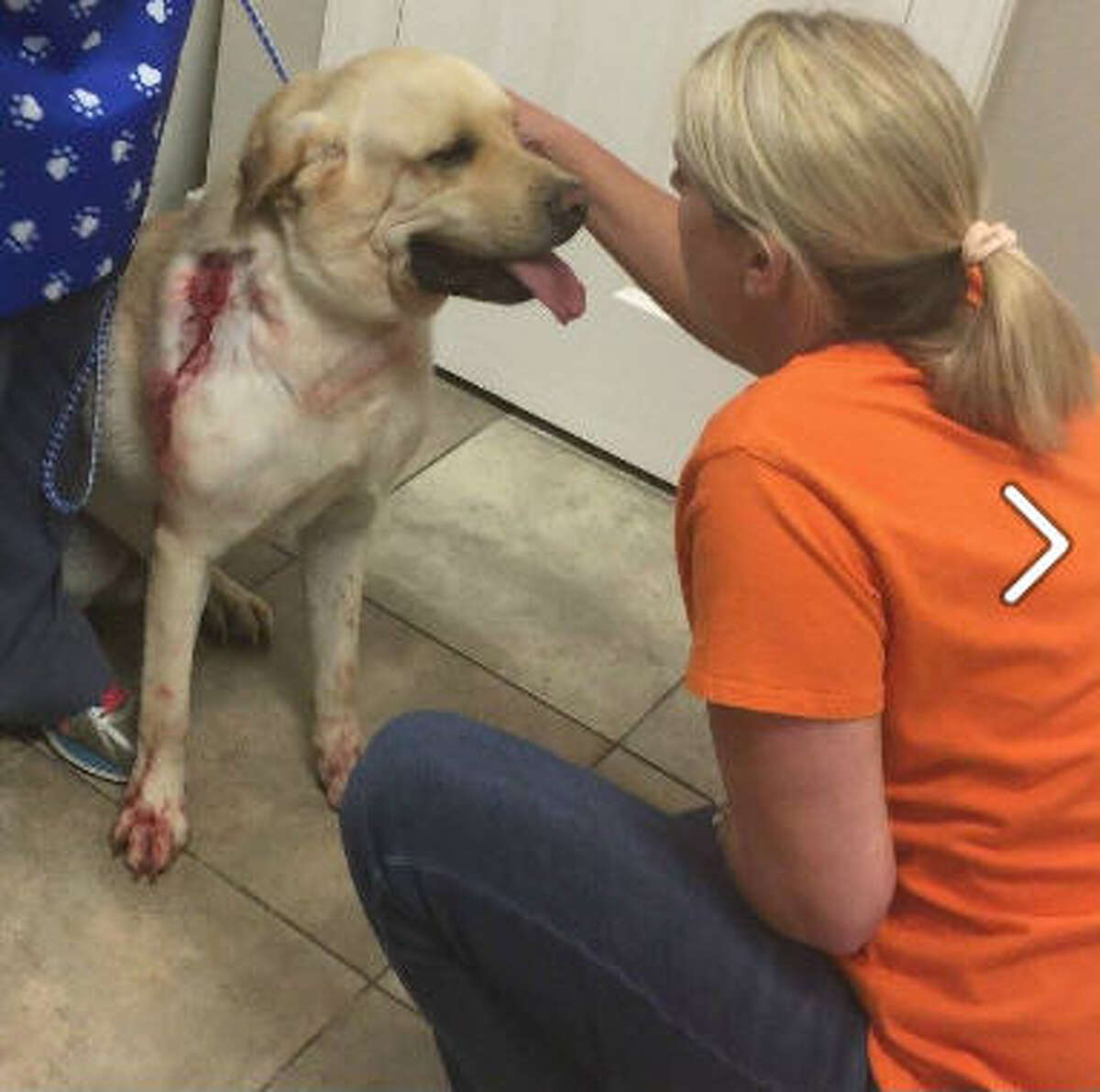 Fulshear police investigating suspicious activity end up helping a dog