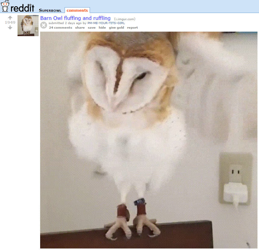 Itombwe owl : r/Superbowl