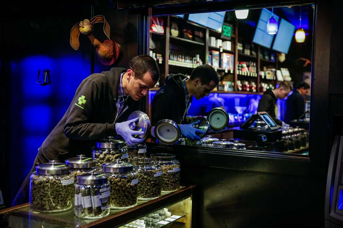 Budtender Alejandro Garcias smells marijuana at cannabis dispensary The Green Cross, in San Francisco, California, on Tuesday, Nov. 1, 2016.