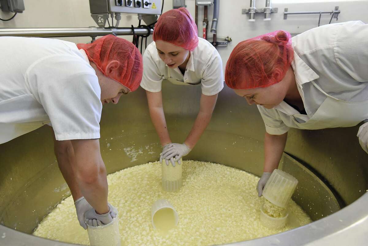 Assistant manager Aaron Jutila, left, creamery assistant Abbey Reynolds and owner Seana Doughty pack curds from a 200-gallon cheese vat into molds called "hoops" while making a batch of Goldette Tommette cheese at Bleating Heart Cheese in Tomales, CA, November 3, 2016.