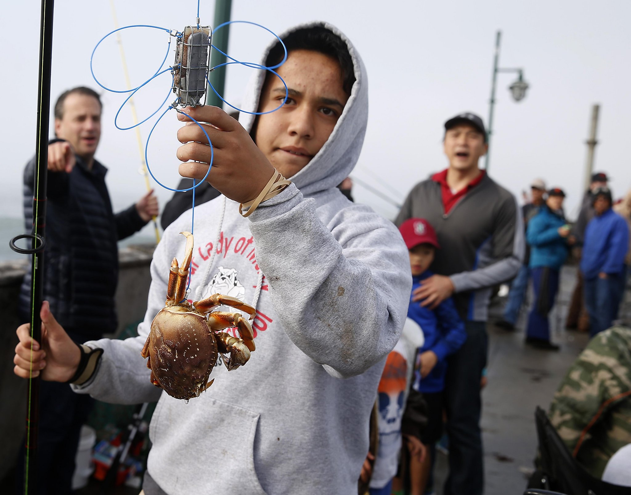 Recreational Dungeness crab season opens in California