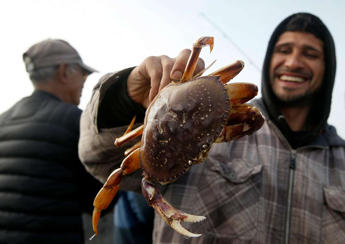 Miguel Linares shows off the prize he snared at around 3:30 a.m. from the municipal pier on the first day of the recreational Dungeness crab season in Pacifica, Calif. on Saturday, Nov. 5, 2016. Despite all of the enthusiasm, veteran crabbers say conditions were less than ideal as heavy surf continually pounded the pier.