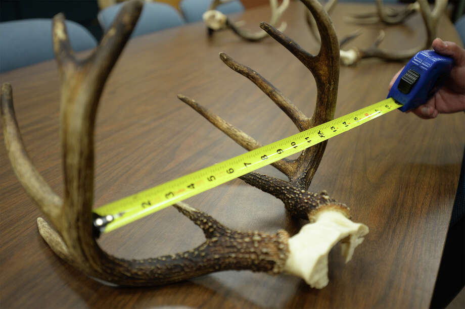 Deer Should Be Plentiful If Hard To Find Thanks To Weather