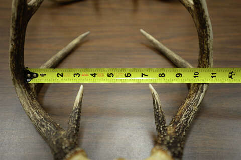 Bowhunting Tactics Could Serve Deer Hunters Well Beaumont Enterprise