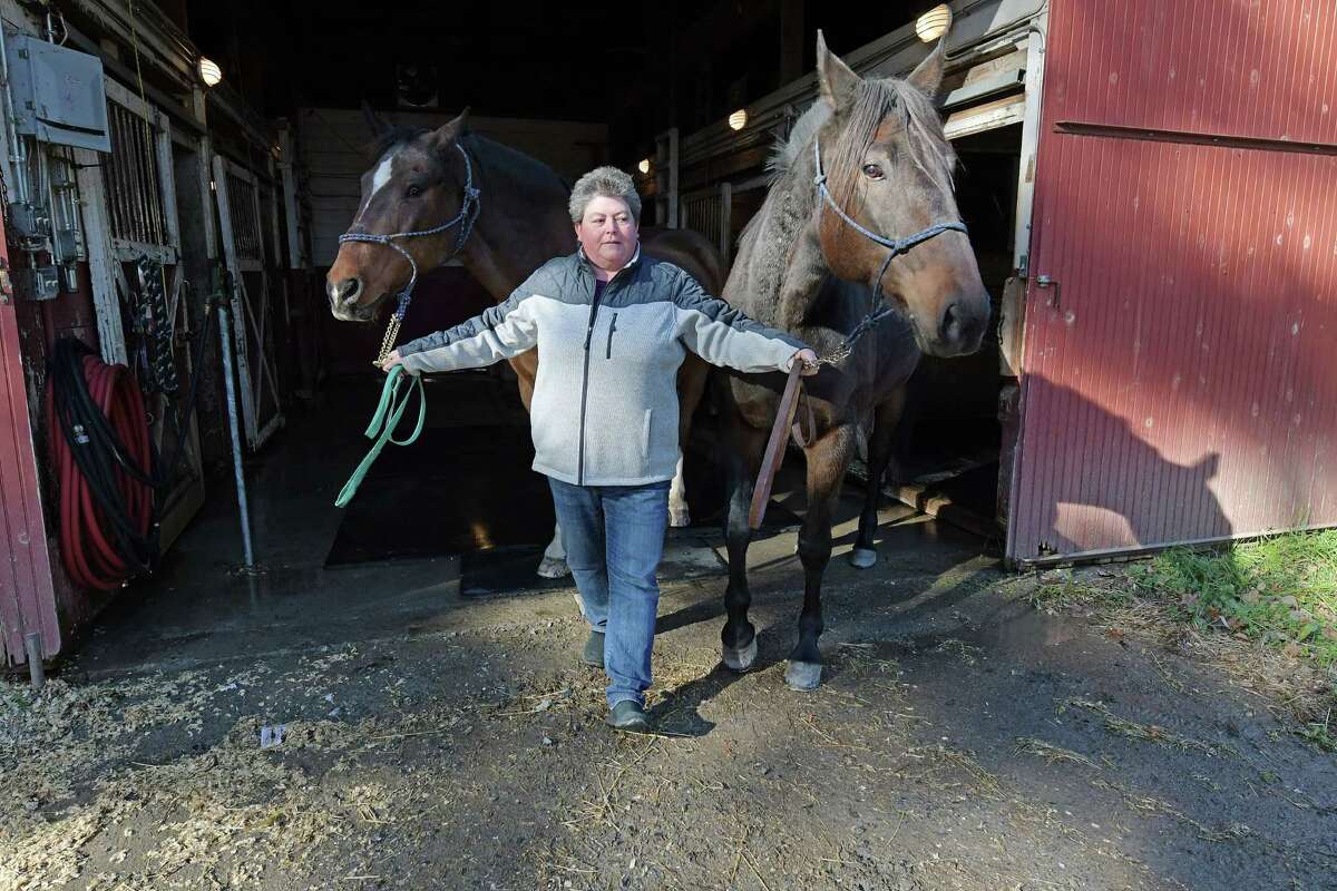 Kim Ricard holds King, left, and Manny, two of the horses with the New York State Park Police Mounted Unit on Monday, Nov. 7, 2016, in Saratoga Springs, N.Y. Ricard cares for the horses at the stables. The two horses will be retired from duty at Spa State Park. There will be no more mounted patrols at the park. (Paul Buckowski / Times Union)