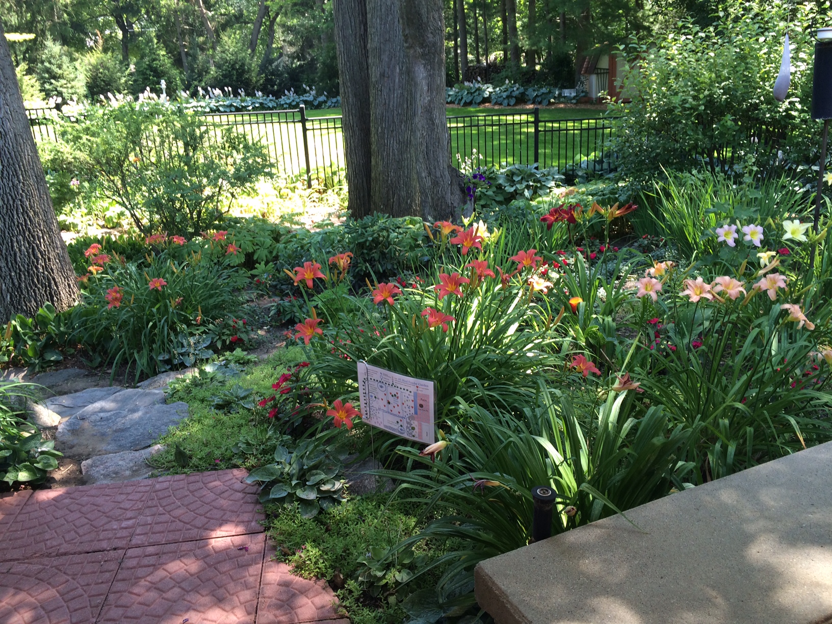 Flower hunting These were the brightest in Midland this year