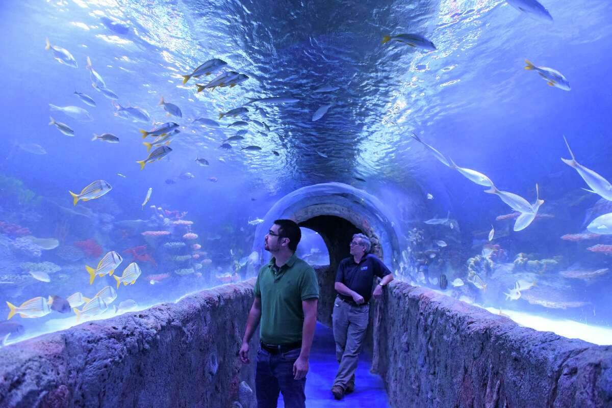 Rotterdam aquarium opened Saturday