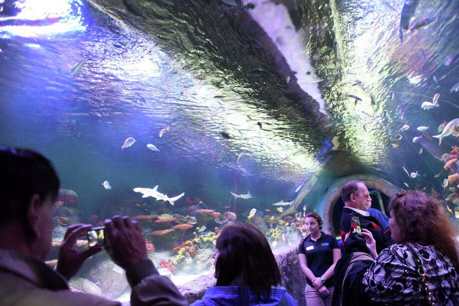 rotterdam aquarium opened saturday times union
