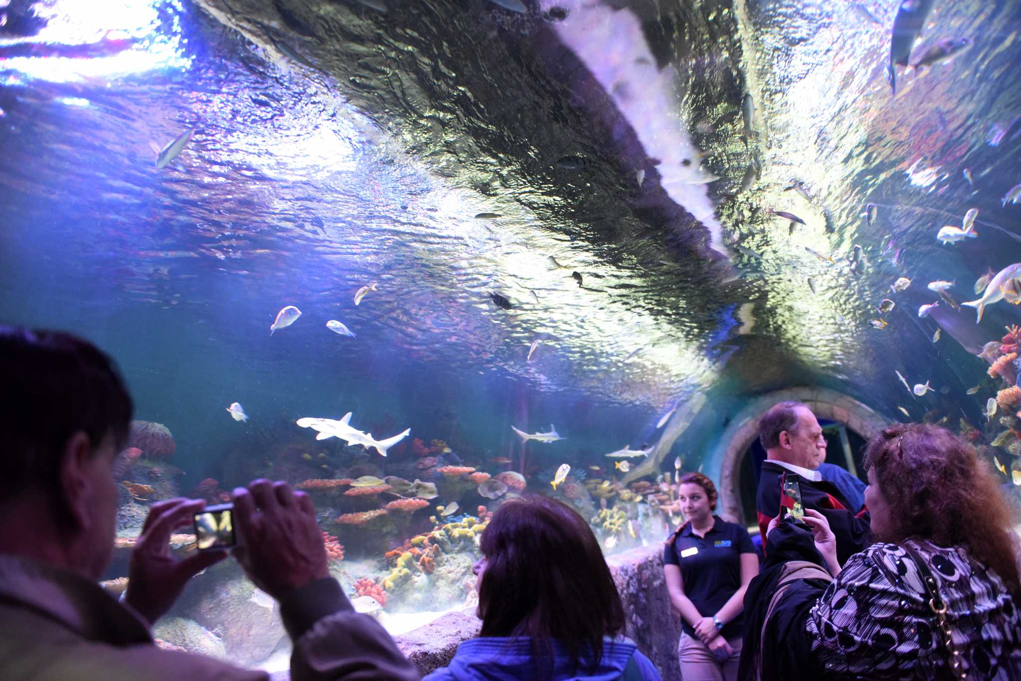 Rotterdam aquarium opened Saturday