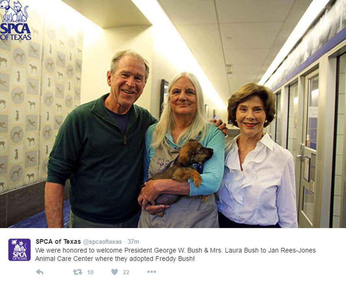 Former President George W. Bush and wife Laura got a new puppy from the SPCA of Texas Monday afternoon. Source: Twitter